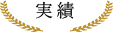 実績